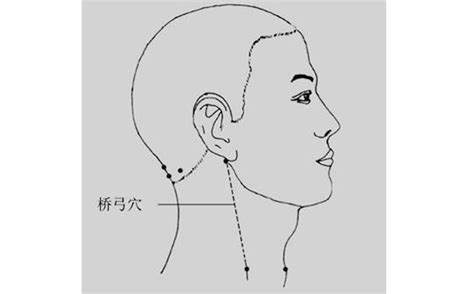 橋弓穴位置|身體的6個應急穴位，高血壓按摩橋弓穴